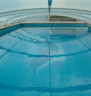 Schwimmbad- und Teichpflege